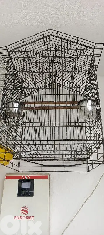 قفص ببغاء