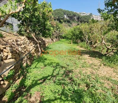 Land For Rent In Kahaleh – CPBMH18