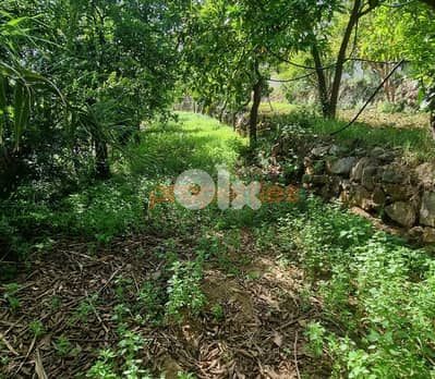 Land For Rent In Kahaleh – CPBMH18