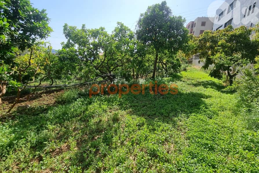 Land For Rent In Kahaleh – CPBMH18 10