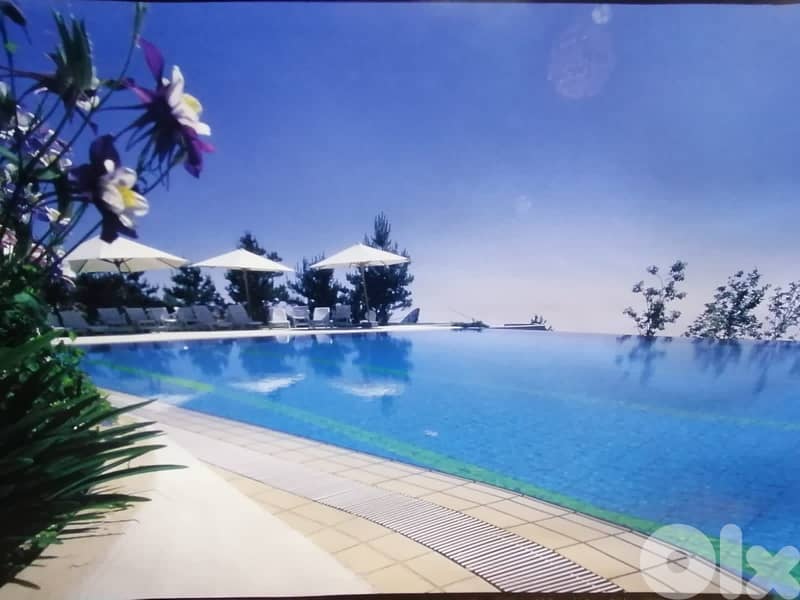 L17712 Furnished Renovated High-End Chalet For Rent In Faqra 9