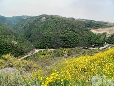 unobstructed view, Investors call, Hboub, Jbeil/حبوب REF#DC136174