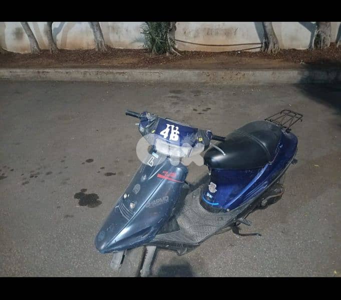 جل الديب 2