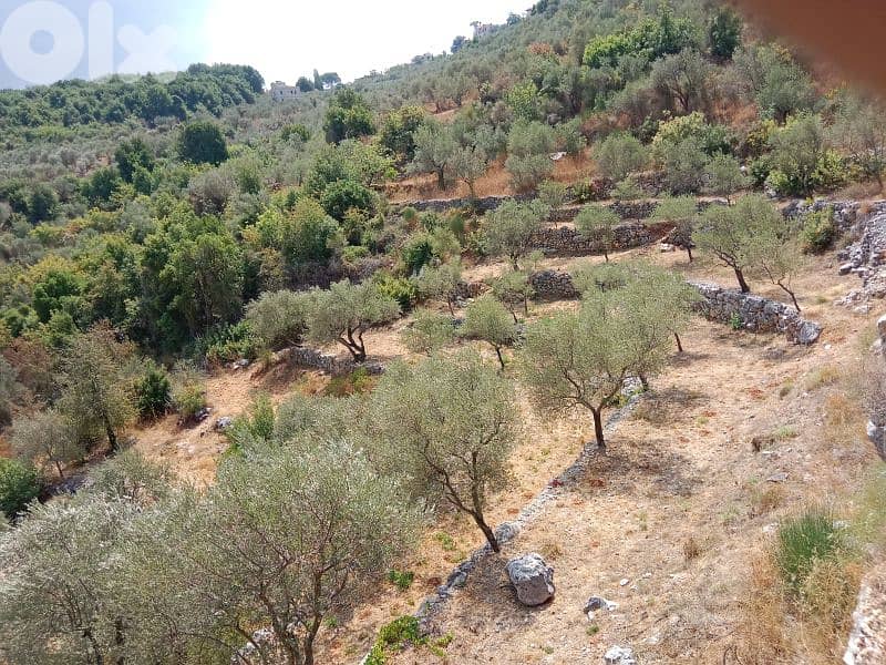 Land for sale in Assia Batroun below market price 0