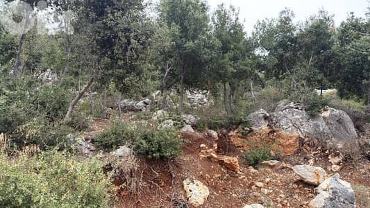 Land for sale in Assia Batroun below market price