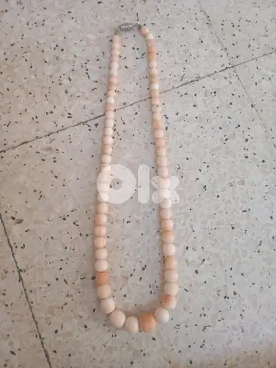 سن الفيل