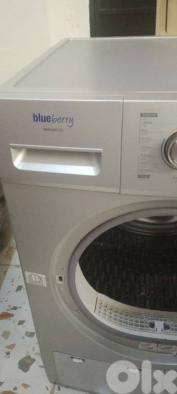 Blueberry TAMDC80-C01 2
