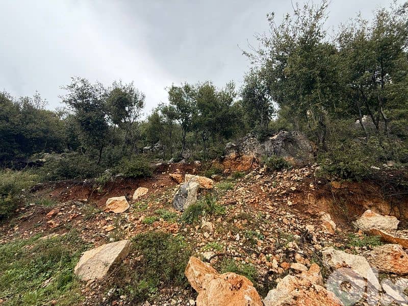 Land for sale in Kherbe direct on highway 0