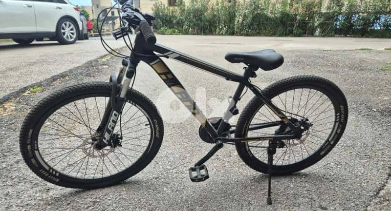 Hiland bicycle 2