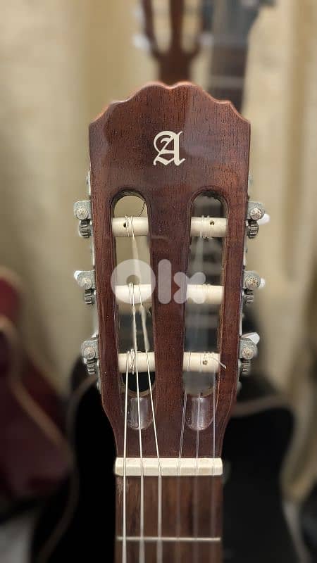 professional classical guitar Alhambra 6