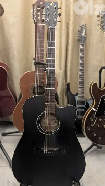 moon electro accoustic guitar