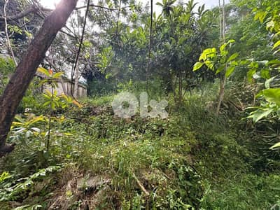 Land for sale in Sarba 800m² ONLY for 800K في صربا