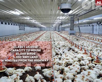 first-class poultry farm, prime location ,Jbeil/جبيل  REF#NI136211