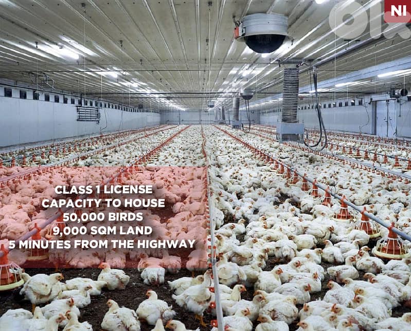 first-class poultry farm, prime location ,Jbeil/جبيل  REF#NI136211 0