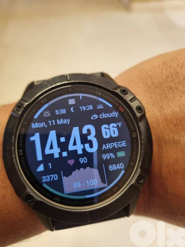 garmin fenix 6 pro 1