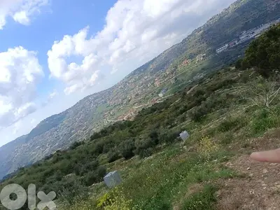 ارض ٤٥٠٠م٢ في بطلون قضاء عاليه بسعر مغري
