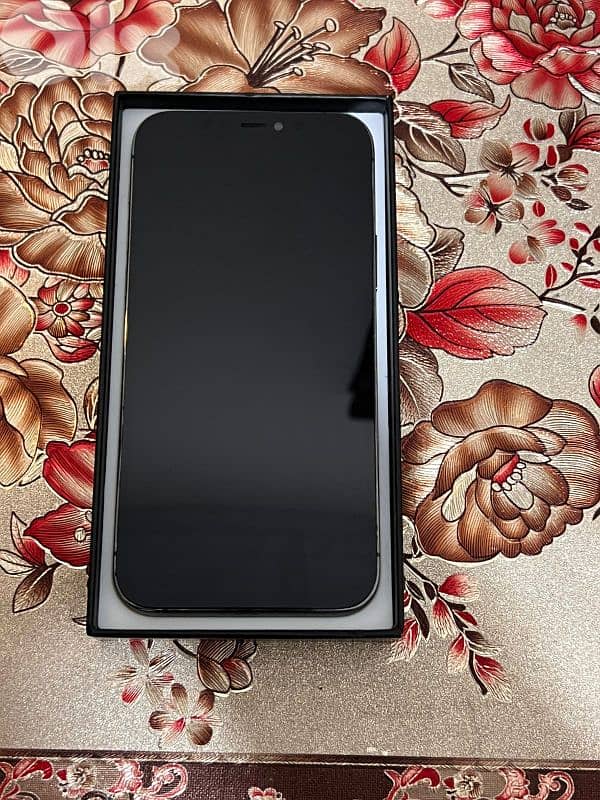 iphone 12 pro 1