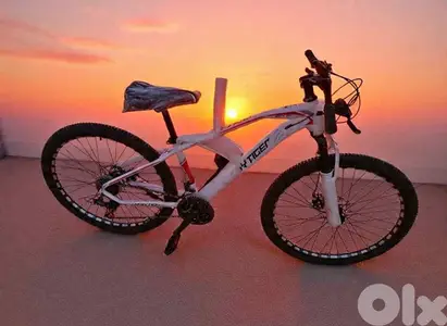 Lucky Tiger Mountain Bike – Built to Ride,Made to Stand Out
