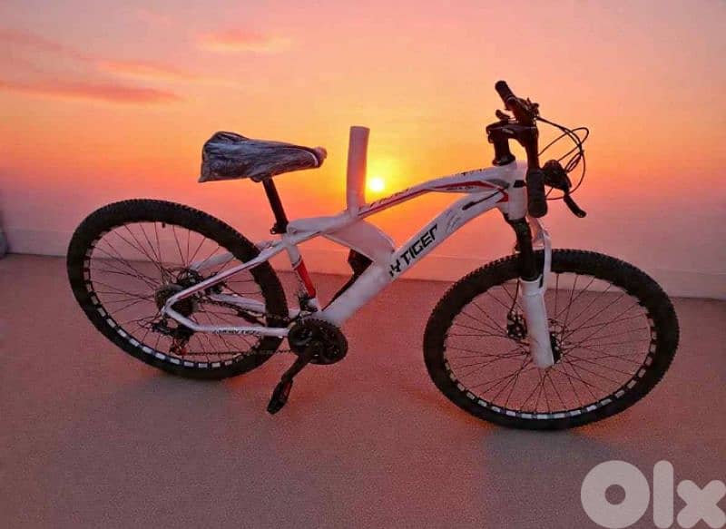 Lucky Tiger Mountain Bike – Built to Ride,Made to Stand Out 0