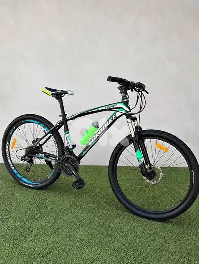 Bicycle for Sale – $250