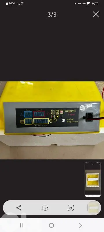 بيروت