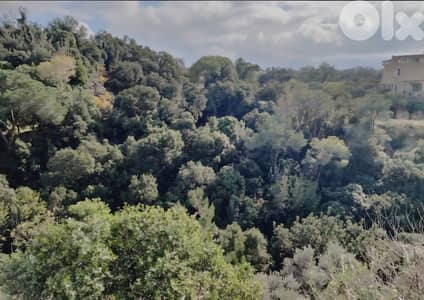 Land for sale in Jeita/ Mountain view
