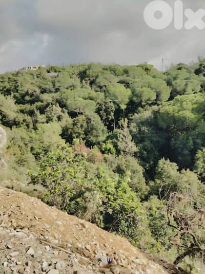 Land for sale in Jeita/ Mountain view