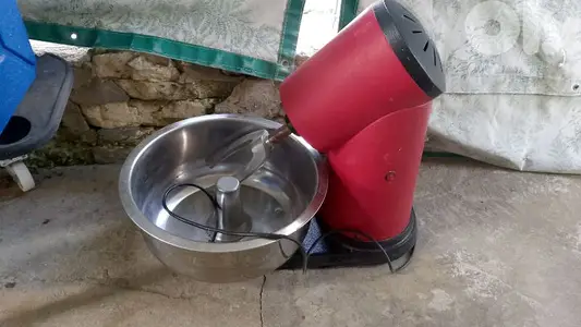 عجانة