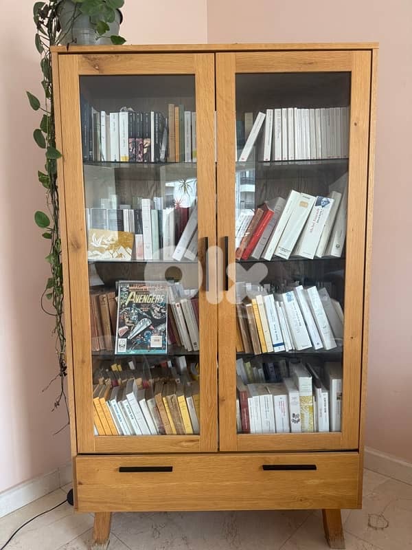 cabinet/bookshelf 0
