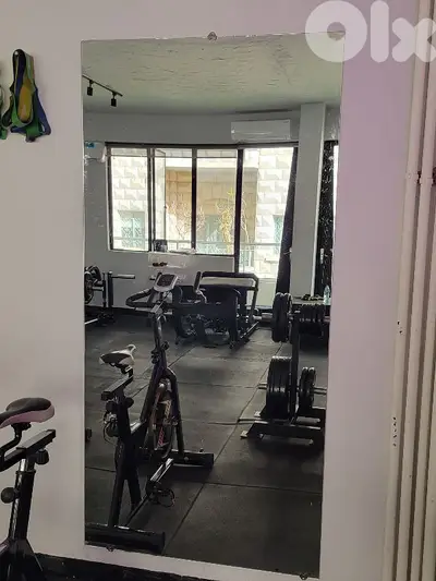Mirror