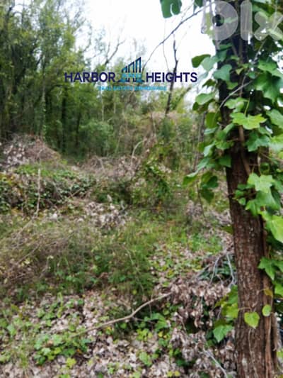 Land for Sale in Lehfed - أرض للبيع في لحفد