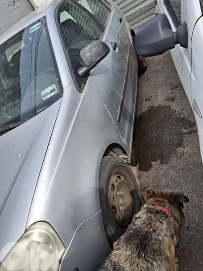Volkswagen Polo 2006