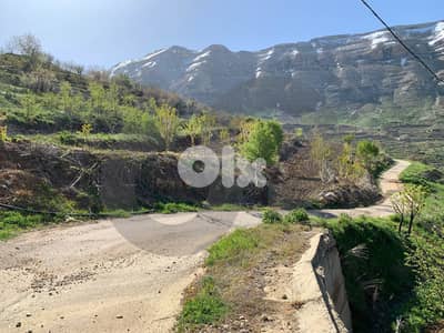 prime area, harissa,Tannourine, Batroun/حريصا تنورين REF#YT136264