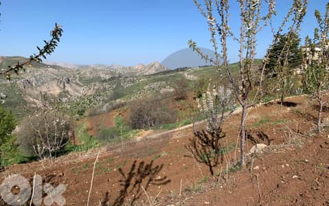 prime area, harissa,Tannourine, Batroun/حريصا تنورين REF#YT136264