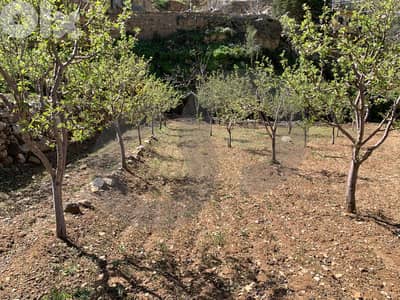Prime location,geat deal Harissa, Tannourine/حريصا تنورين REF#YT136265