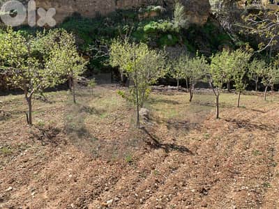 Prime location,geat deal Harissa, Tannourine/حريصا تنورين REF#YT136265