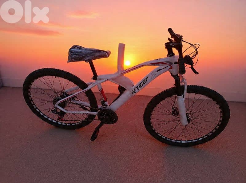 26 inch mountain bike 0