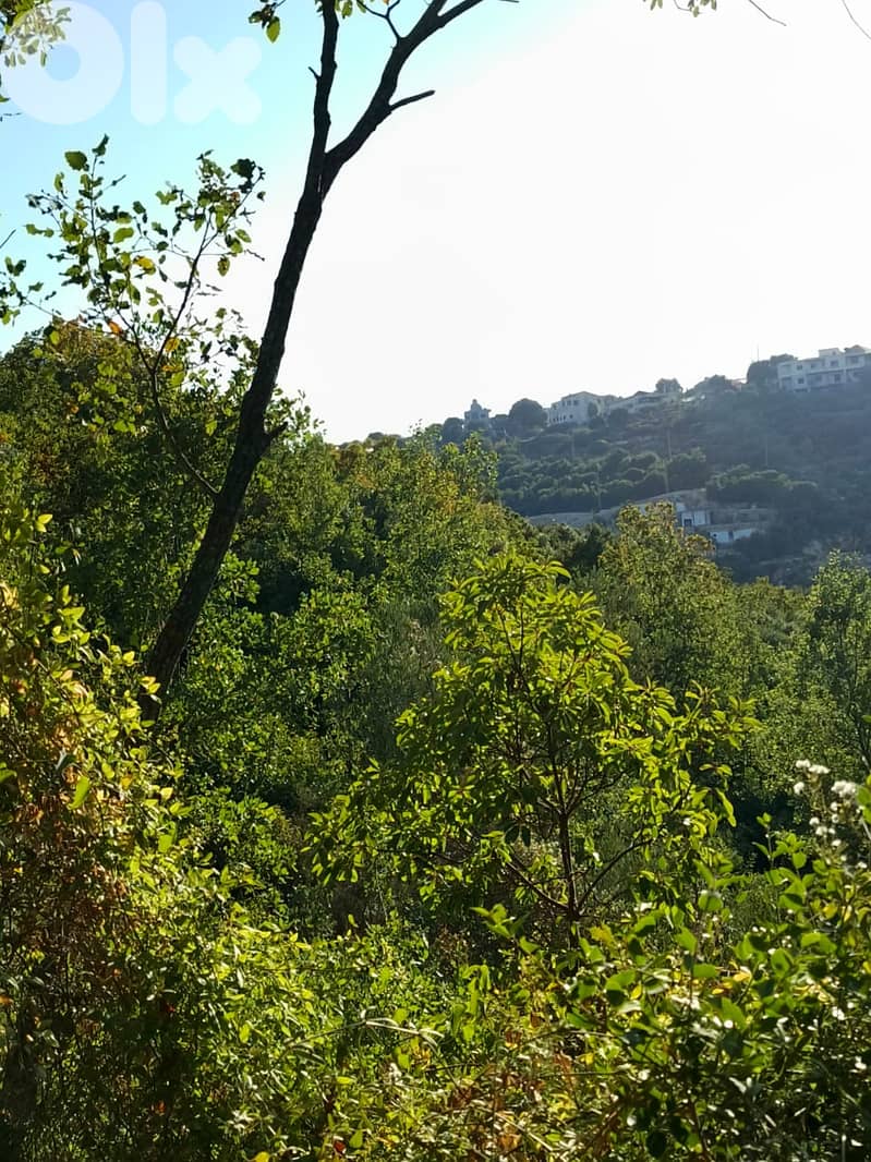 Spacious Land for Sale in Kfarhatna, Batroun - 2,085 sqm 2