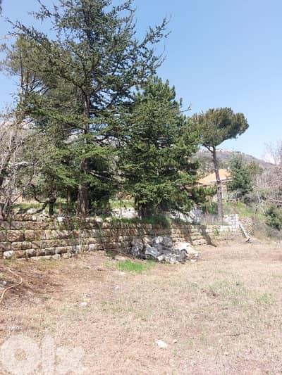 Standalone House + 250m² Private Garden | Baskinta | Sannine View