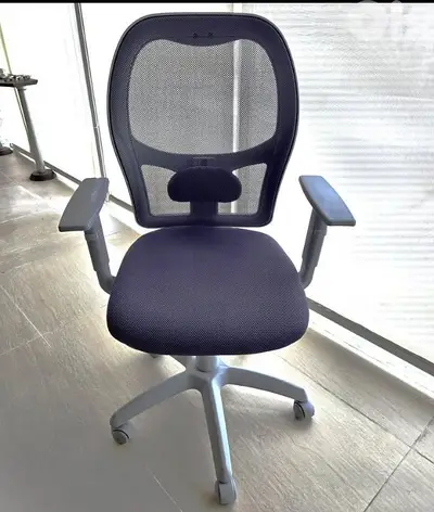 Ergonomic Mesh Office Chair
