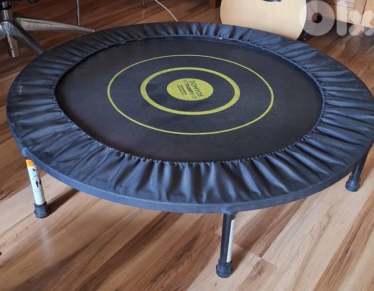 Mini trampoline. 0