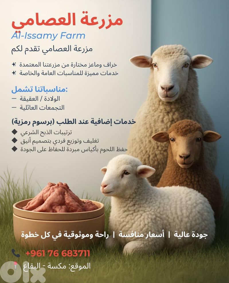 Limited Time Offer!  Premium Lambs at the Lowest Prices 0