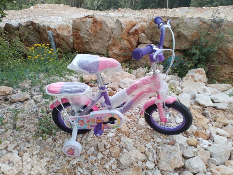 12 inch bicycle 3