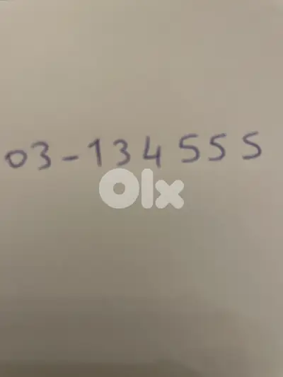 03134555