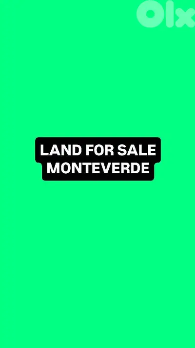 Land for sale Monteverde أرض للبيع المنتفردي