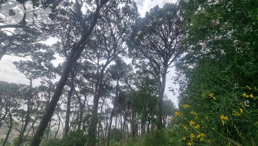 GMC321MAN Land for sale in Beit Chabab - أرض للبيع في بيت شباب