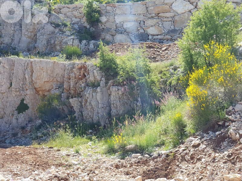 Land for Sale in Raashine 0