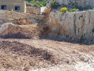 Land for Sale in Raashine