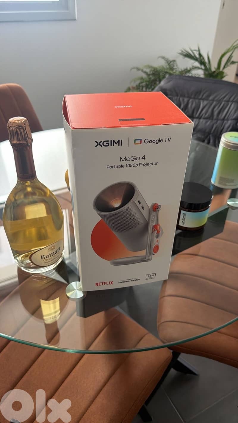 The XGIMI MoGo 4 0