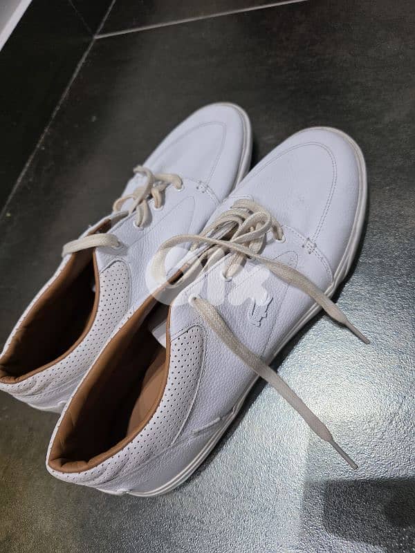lacoste shoes size 44.5 1